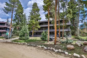 466 Hi Country Dr, Winter Park, CO 80482 - Photo 2