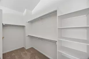 4405 Millwagon Trail, Castle Rock, CO 80109 - Photo 20