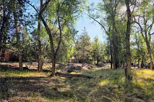 226 S San Juan Ave, Buena Vista, CO 81211 - Photo 18