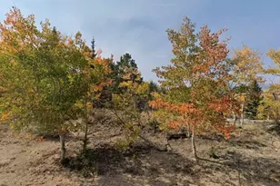 123 Stretlets Way, Jefferson, CO 80456 - Photo 1