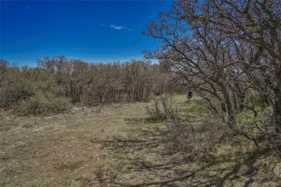 Cl&l Lot 93, Walsenburg, CO 81089 - Photo 4