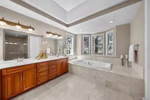 6250 Shavano Peak, Castle Rock, CO 80108 - Photo 18