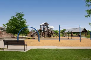 3344 Sapinero Ct, Loveland, CO 80538 - Photo 6