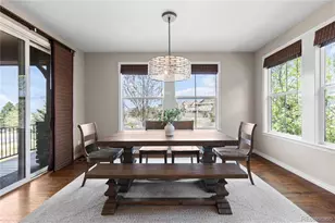 201 Maplehurst Point, Highlands Ranch, CO 80126 - Photo 16