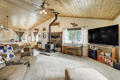 141 Cabin Lane, Guffey, CO 80820 - Photo 8