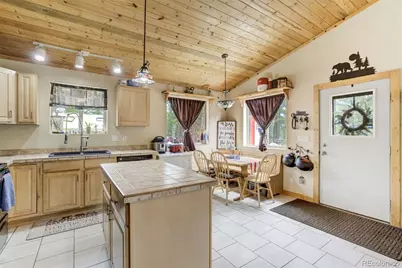 141 Cabin Lane, Guffey, CO 80820 - Photo 14