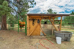 141 Cabin Ln, Guffey, CO 80820 - Photo 36