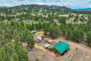 141 Cabin Ln, Guffey, CO 80820 - Photo 46