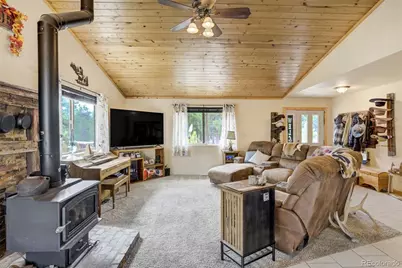 141 Cabin Lane, Guffey, CO 80820 - Photo 10