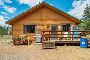 141 Cabin Ln, Guffey, CO 80820 - Photo 4