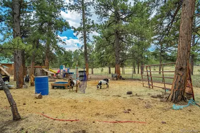 141 Cabin Lane, Guffey, CO 80820 - Photo 40