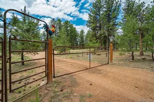 141 Cabin Ln, Guffey, CO 80820 - Photo 44