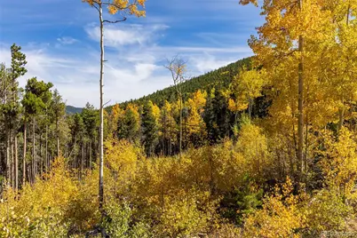 004 Seldom Seen Road, Black Hawk, CO 80422 - Photo 30