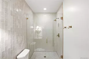 245 S Emerson St, Denver, CO 80209 - Photo 24