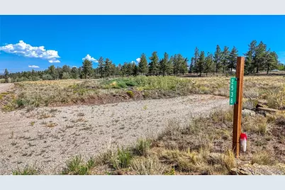 2538 Windmill Drive, Hartsel, CO 80449 - Photo 4