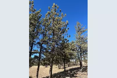 2538 Windmill Drive, Hartsel, CO 80449 - Photo 18