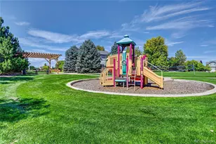 11154 Bayne Way, Parker, CO 80134 - Photo 40