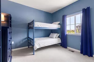 12483 Bagley Wy, Parker, CO 80134 - Photo 22