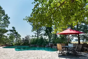 1463 Clarkes Cir, Castle Rock, CO 80109 - Photo 4