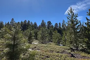 1101 Cr 99, Black Hawk, CO 80422 - Photo 26