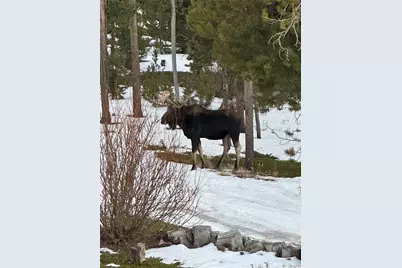 1101 Cr 99, Black Hawk, CO 80422 - Photo 32