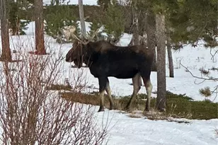 1101 Cr 99, Black Hawk, CO 80422 - Photo 32