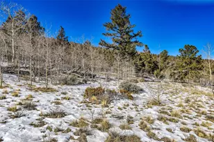 2996 Redhill Rd, Fairplay, CO 80440 - Photo 1