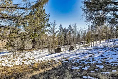 2996 Redhill Road, Fairplay, CO 80440 - Photo 28