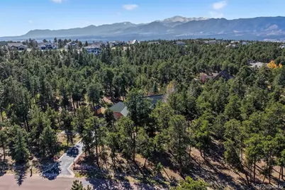 17556 Colonial Park Drive, Monument, CO 80132 - Photo 48