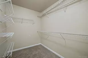 6623 Young Oak Grove, Colorado Springs, CO 80923 - Photo 24