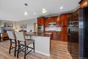 3007 Danbury Ave, Highlands Ranch, CO 80126 - Photo 14