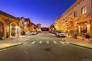 7041 Homeplace St, Castle Rock, CO 80108 - Photo 36