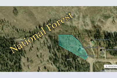 605 Lamb Mountain Road, Fairplay, CO 80440 - Photo 32