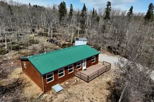 605 Lamb Mountain Rd, Fairplay, CO 80440 - Photo 24