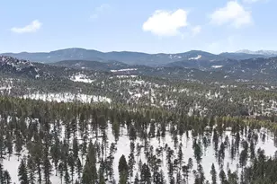 5525 S Twin Spruce Dr, Evergreen, CO 80439 - Photo 10