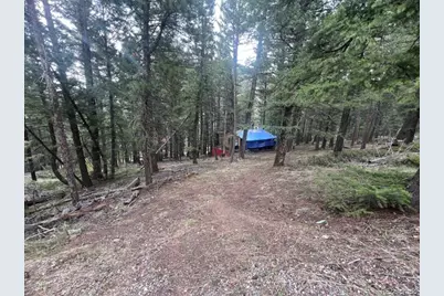 5525 S Twin Spruce Drive, Evergreen, CO 80439 - Photo 8