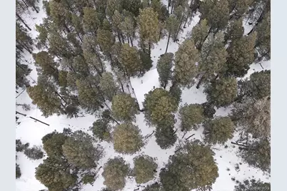 5525 S Twin Spruce Drive, Evergreen, CO 80439 - Photo 22