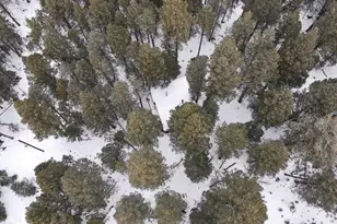 5525 S Twin Spruce Dr, Evergreen, CO 80439 - Photo 22