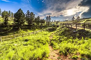 180 Deep Cut Rd, Livermore, CO 80536 - Photo 38