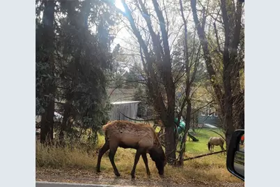5162 S Road A, Evergreen, CO 80439 - Photo 20