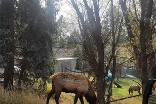 5162 S Rd A, Evergreen, CO 80439 - Photo 20