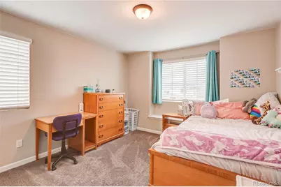 8760 Animas River Street, Littleton, CO 80125 - Photo 18