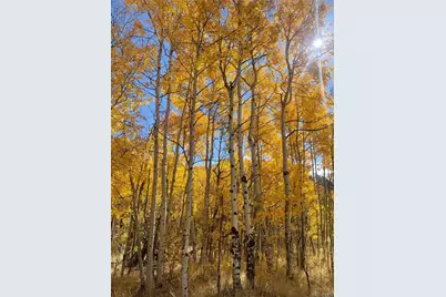 217 Bordenville Road, Jefferson, CO 80456 - Photo 14