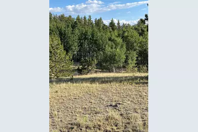 217 Bordenville Road, Jefferson, CO 80456 - Photo 12