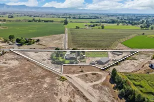 1473 17 Rd, Fruita, CO 81521 - Photo 4