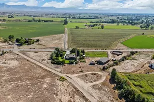 1473 17 Rd, Fruita, CO 81521 - Photo 18