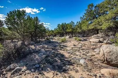 30036 Teal Run, Buena Vista, CO 81211 - Photo 14