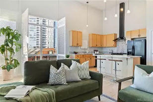 1438 Little Raven St, Denver, CO 80202 - Photo 8