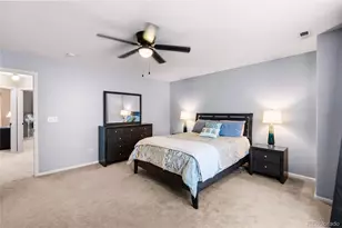 1464 N Stratton Ave, Castle Rock, CO 80104 - Photo 30