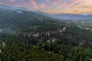 11173 S Barney Gulch Rd, Conifer, CO 80433 - Photo 16